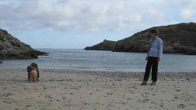 Belle Ile 26 oct 2009 (80).jpg